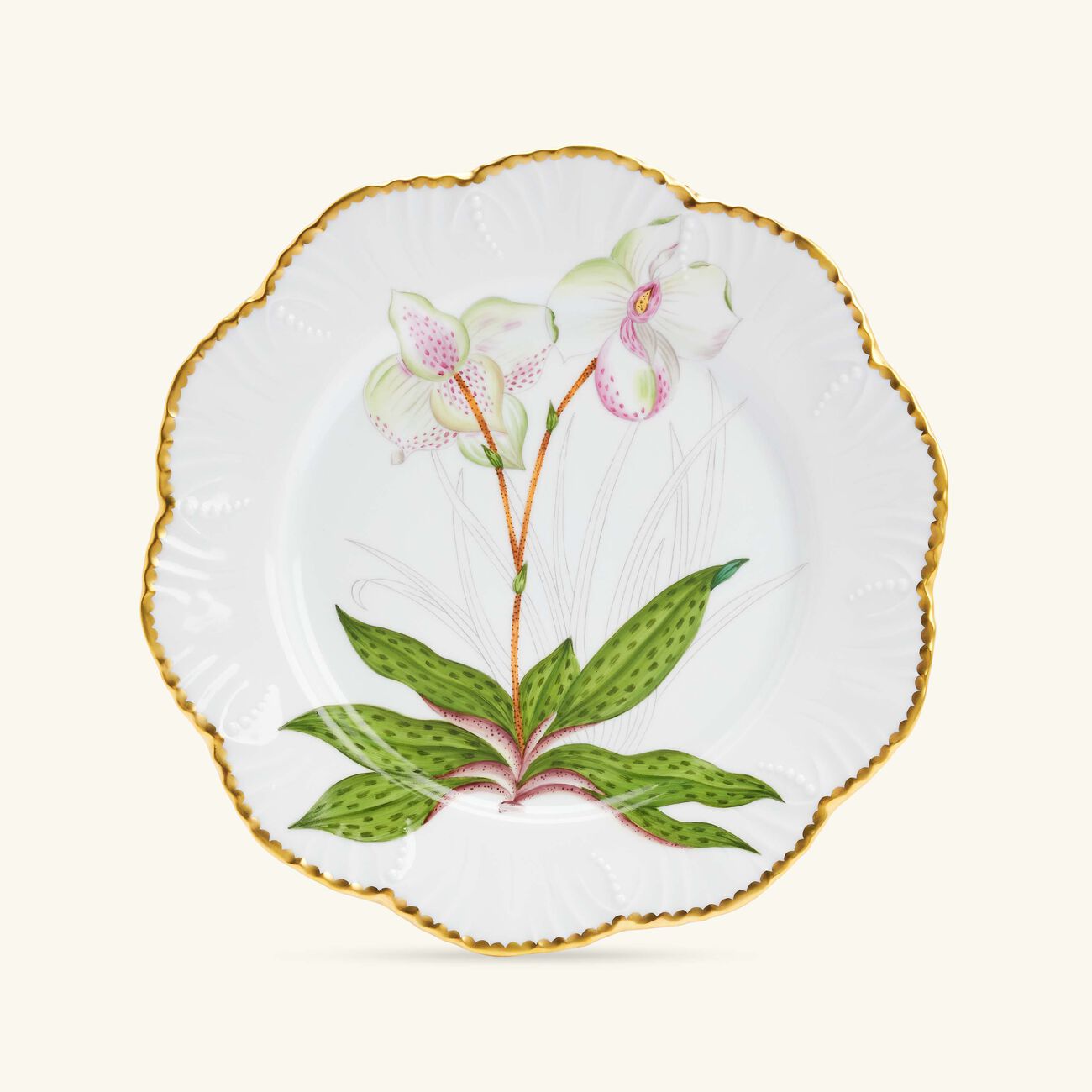 pinto paris histoires d orchidees dinner plate round green 26cm