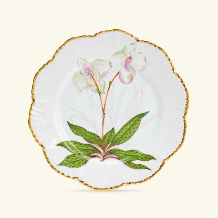 pinto paris histoires d orchidees dinner plate round green 26cm