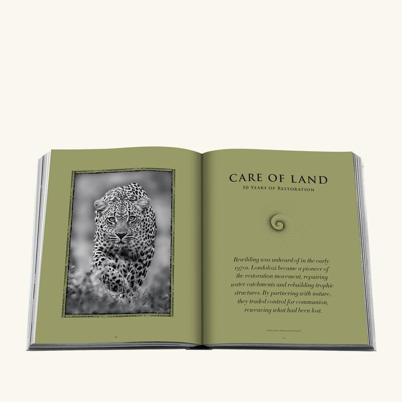 assouline londolozi the safari that changed everything book 30x24cm
