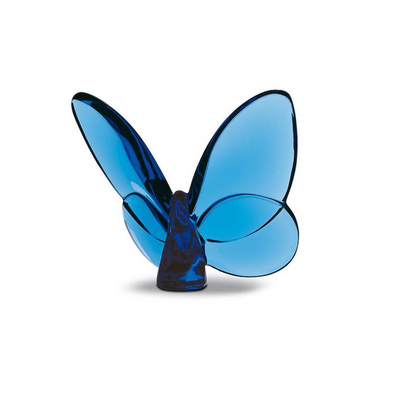 الفراشة المحظوظة الفراشة المحظوظة, large