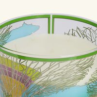 Cities Singapore Candle Maxi Max baobab collection cities singapore candle maxi max