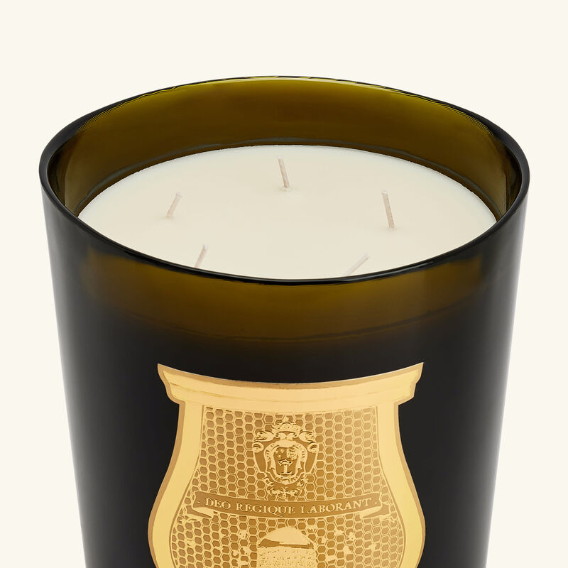 الشمعة المعطرة إرنستو 3 كجم ترودون الشمعة المعطرة إرنستو 3 كجم