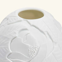 Magnolia Blossoms Lithophanie bernardaud magnolia blossoms lithophanie