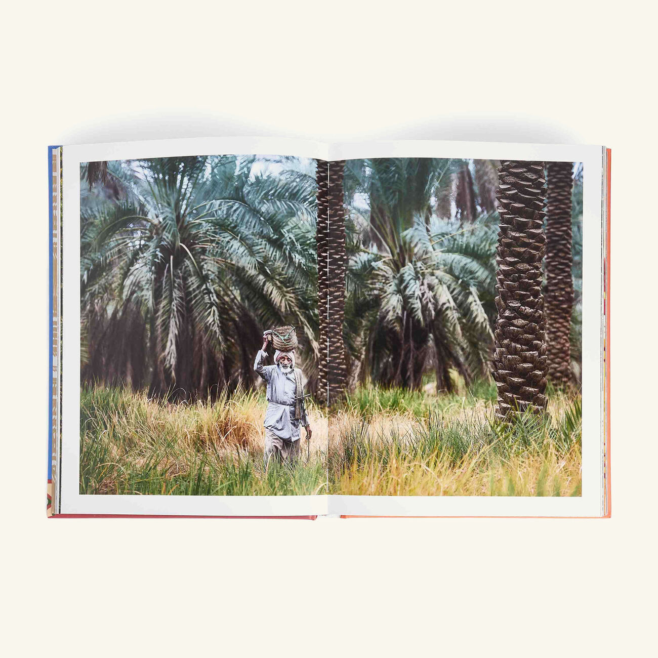 assouline saudi arabia dates book 33x25cm