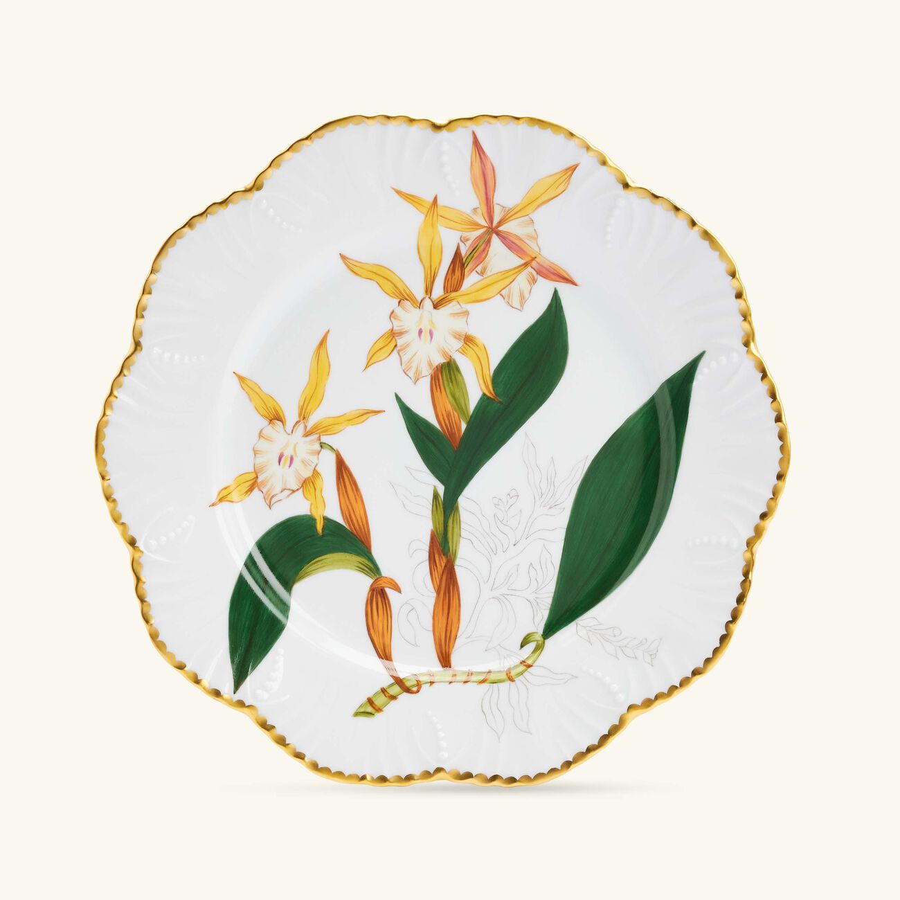 pinto paris histoires d orchidees dinner plate round green 26cm