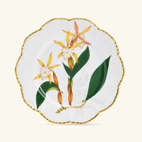 pinto paris histoires d orchidees dinner plate round green 26cm