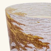 باوباب شمعة سيكرد تريز بوكاني المعطرة ماكس 35