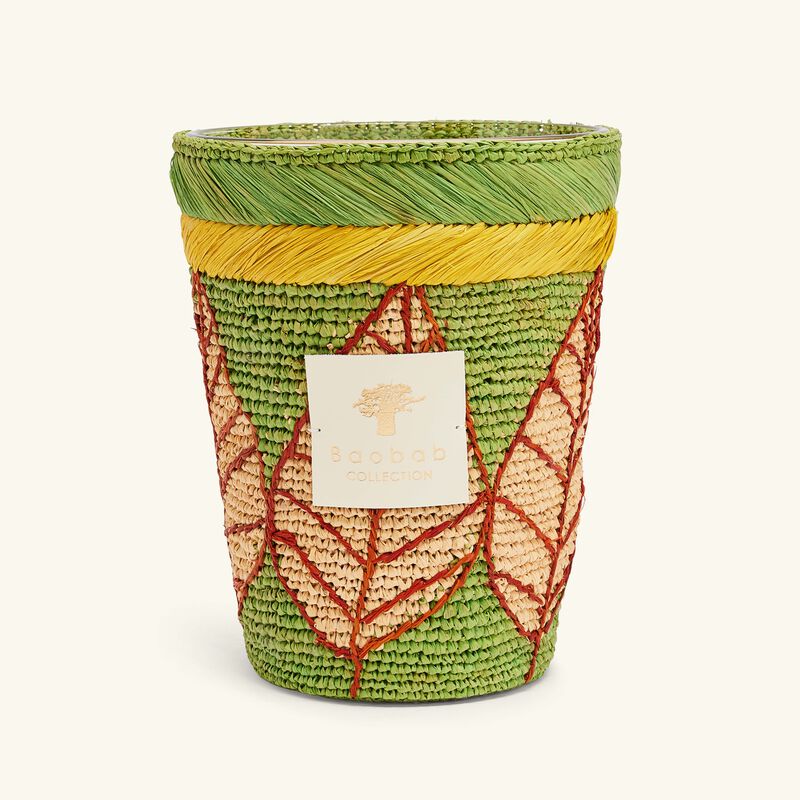 baobab collection ravintsara ravina candle max 24
