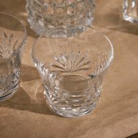 baccarat everyday lutetia tumbler glass clear set of 2