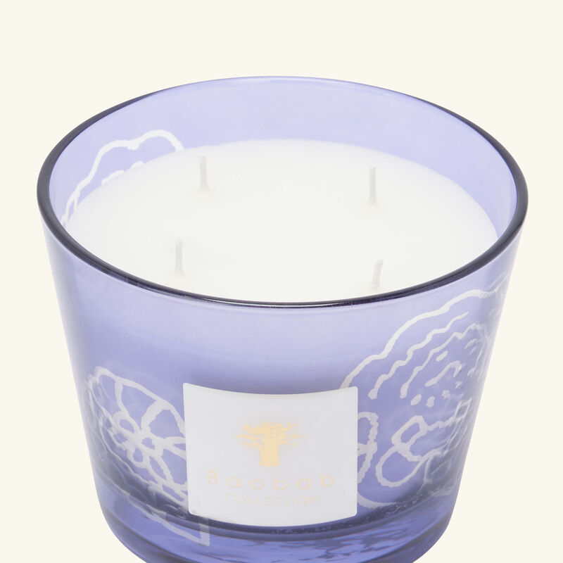 باوباب شمعة كوليكتبل روزز دارك بارما ماكس 10