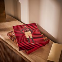 assouline ac milan classic book 33x25cm