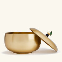 ira udaipur mayur serving pot with lid gold 21cm