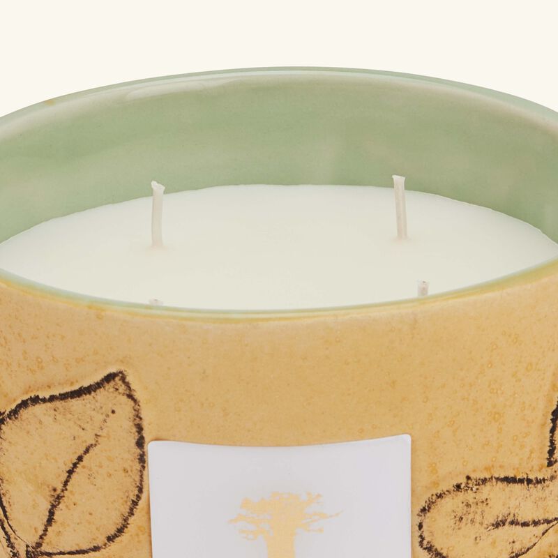 baobab collection folia garrigue candle max 10
