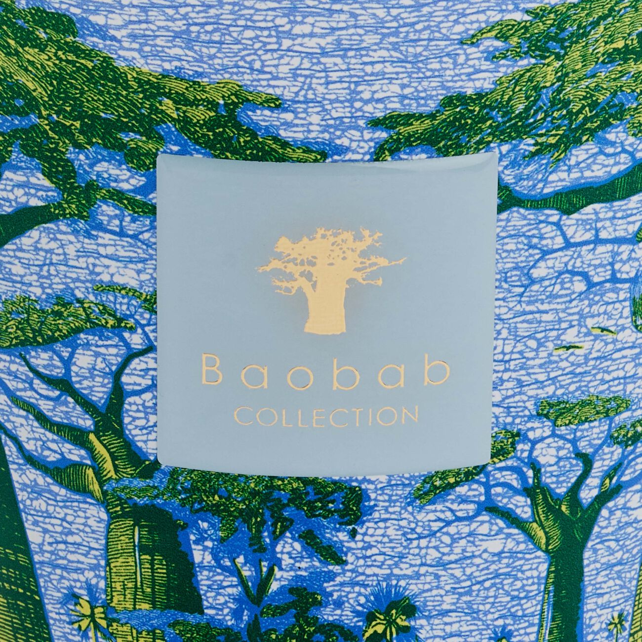 baobab collection sacred trees yarani candle max 16