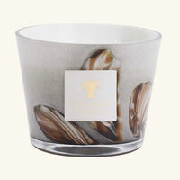 Oceania Anangu Candle Max 10 baobab collection oceania anangu candle max 10