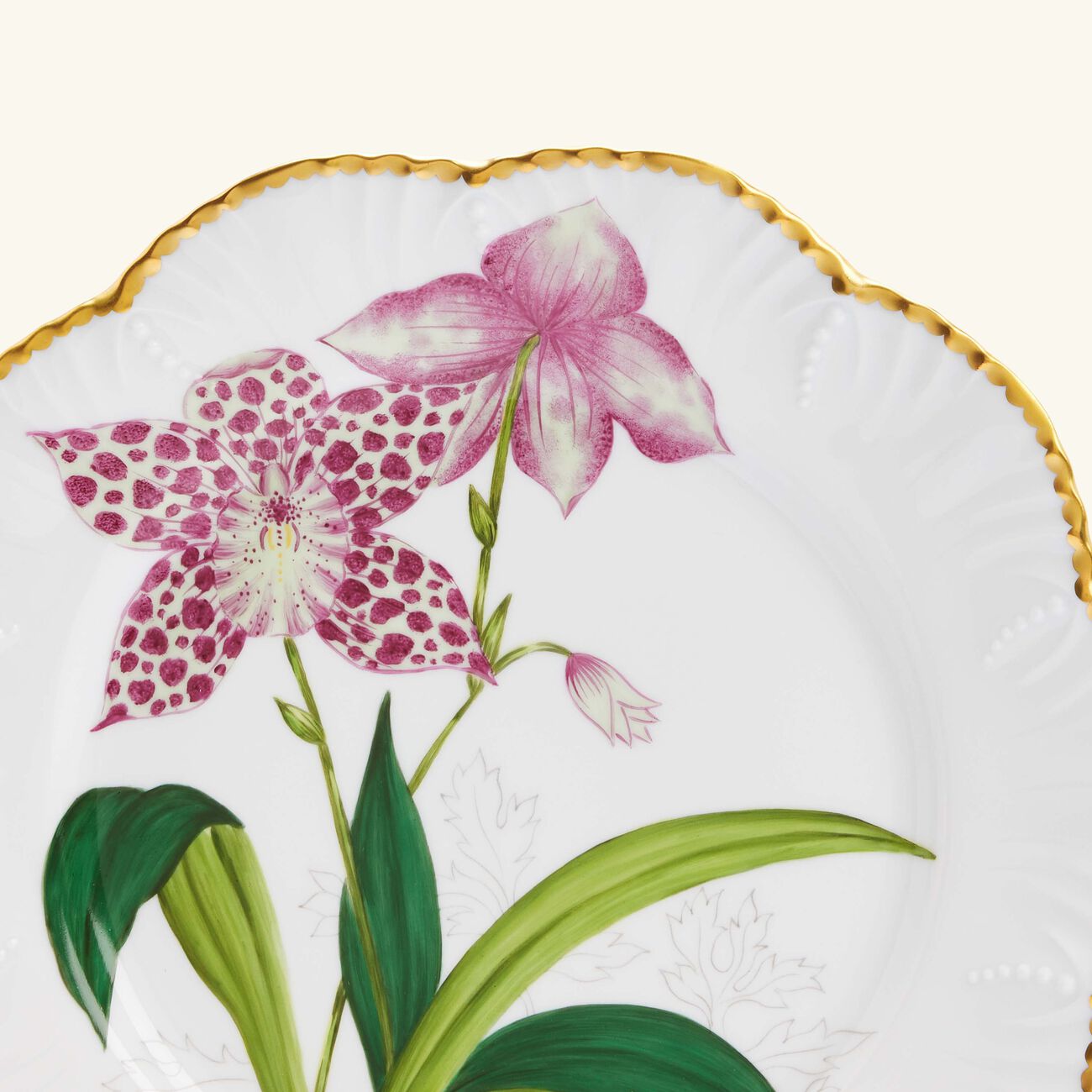 pinto paris histoires d orchidees dinner plate round green 26cm