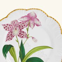 pinto paris histoires d orchidees dinner plate round green 26cm