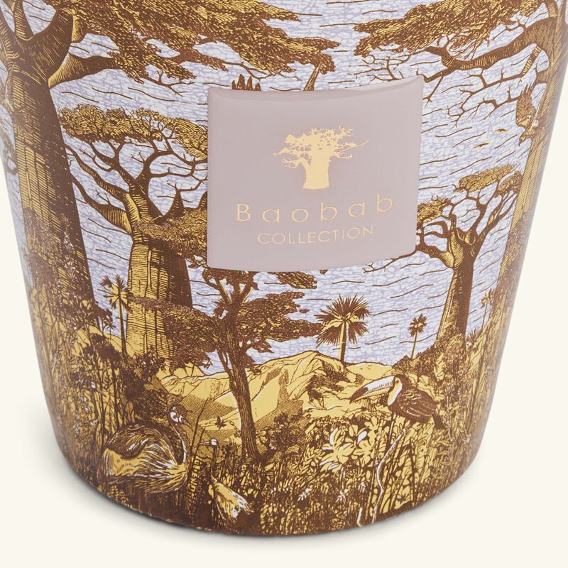 باوباب شمعة سيكرد تريز بوكاني المعطرة ماكس 16