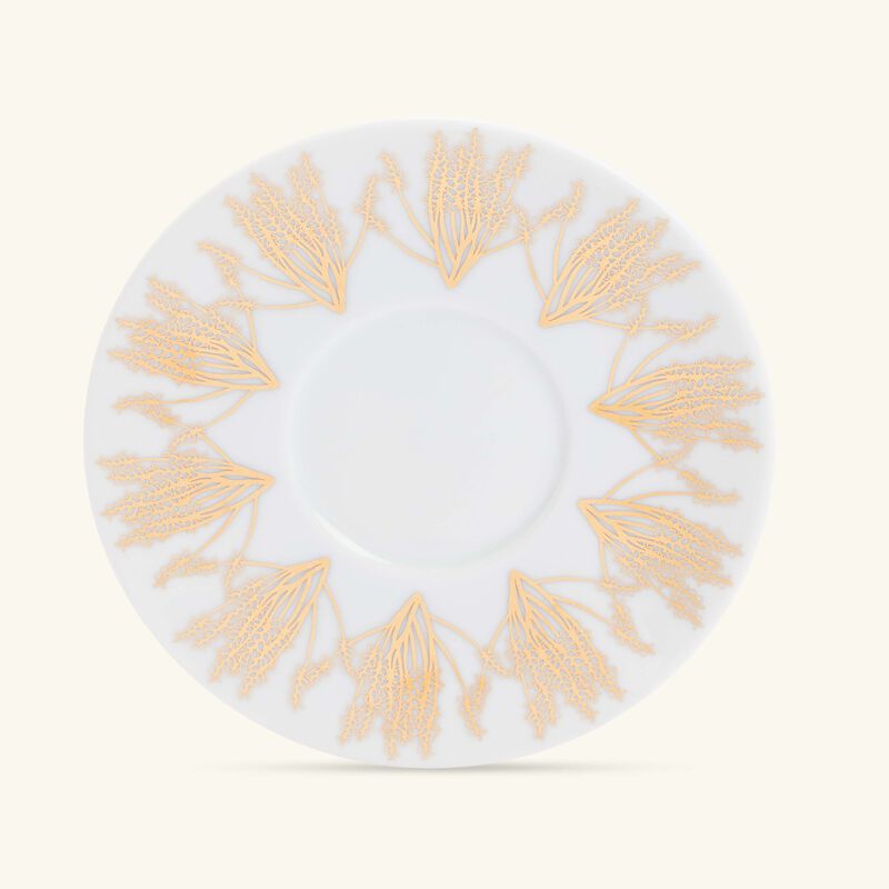 Tamrah by Razan Alazzouni Tea Cup & Saucer Gold Set of 2 silsal tamrah by razan alazzouni tea cup saucer gold set of 2