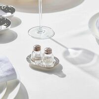 christofle jardin d eden salt pepper shakers silver plated