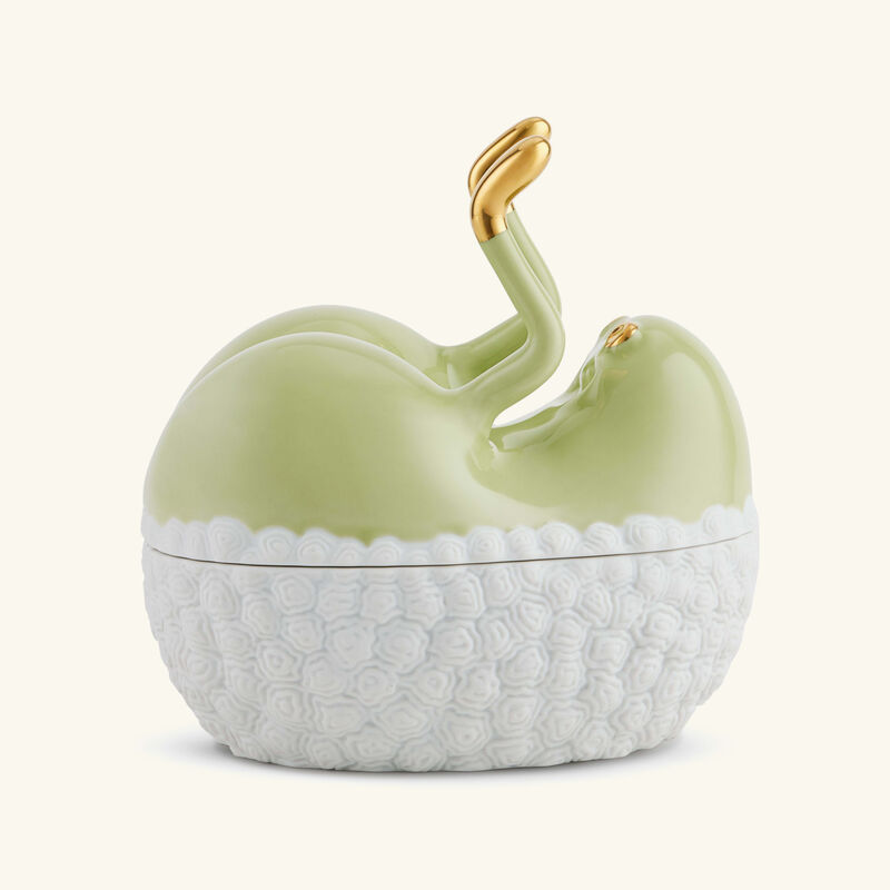 l objet haas butts up box green