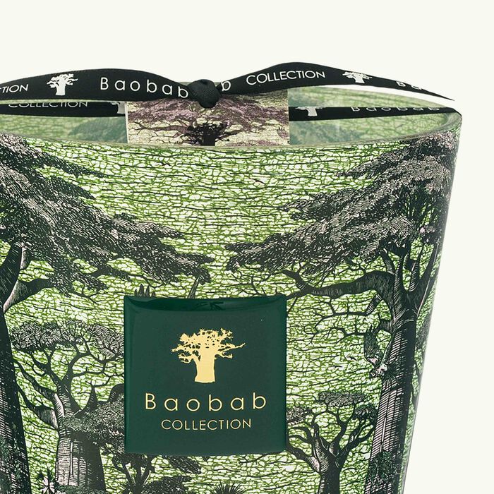 باوباب شمعة سيكرد تريز توبا المعطرة ماكس 16