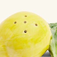 les ottomans lemon salt pepper shakers yellow