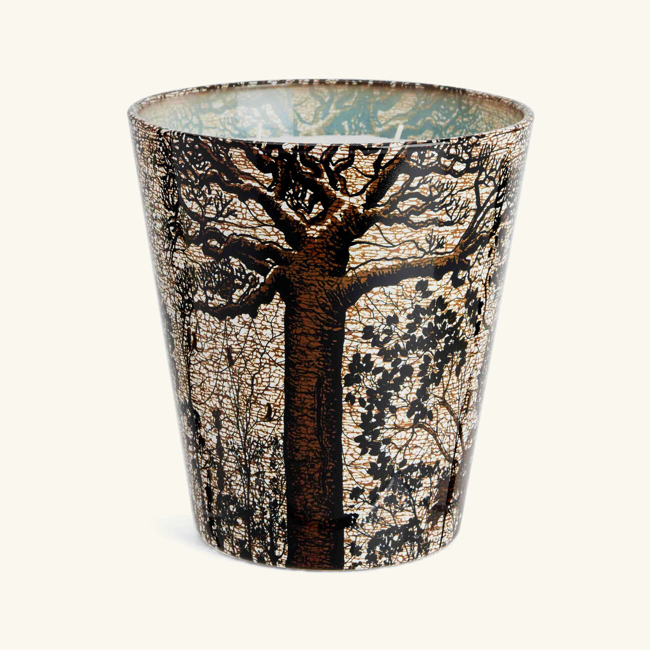 baobab collection sacred trees morondo candle max 16