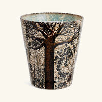 baobab collection sacred trees morondo candle max 16
