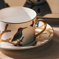 bernardaud aux oiseaux tea cup saucer gold set of 2