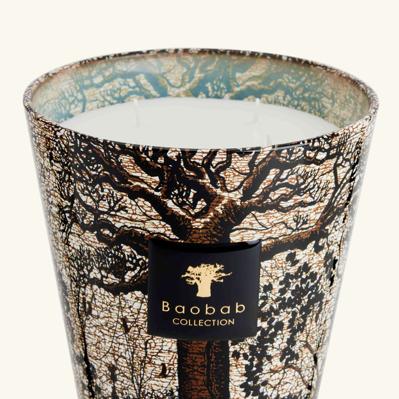 baobab collection sacred trees morondo candle max 16