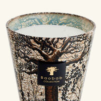 baobab collection sacred trees morondo candle max 16