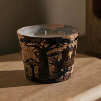 baobab collection sacred trees mankono candle max 10