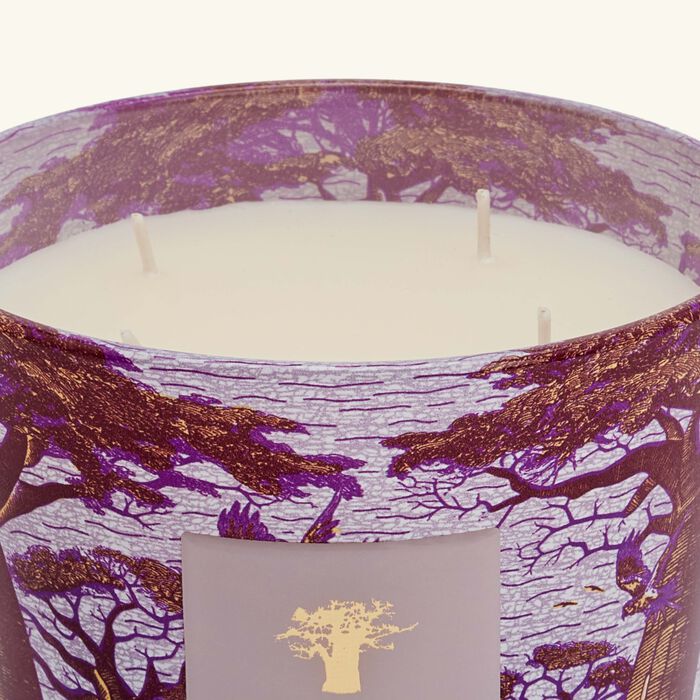 baobab collection sacred trees massasso candle max 10