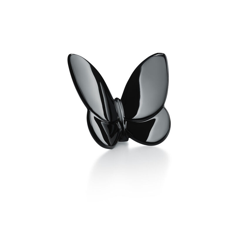 Papillon Lucky Butterfly, large