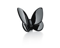 Papillon Lucky Butterfly Papillon Lucky Butterfly, small