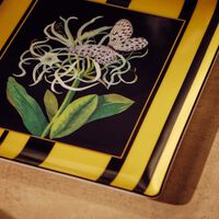 Natura Jonquille De Mer Serving Platter Rectangular Black 22cm bernardaud natura jonquille de mer serving platter rectangular black 22cm