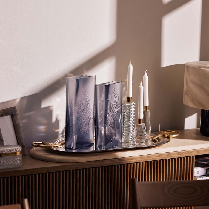 ماريو تشيوني مزهرية شادو بيضاوية صغيرة بلون شفاف