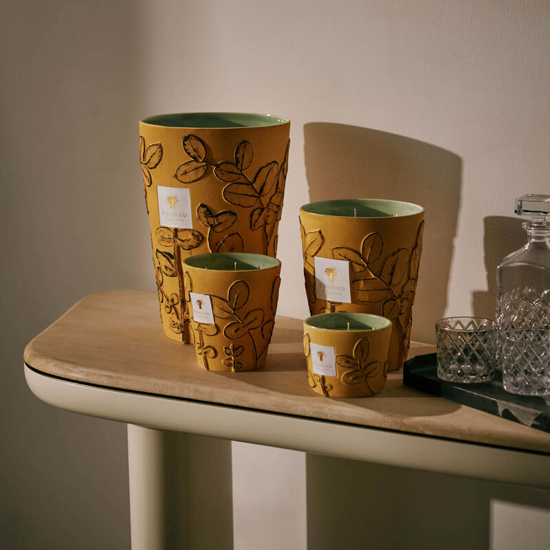 شمعة فوليا جاريك ماكس 10 باوباب شمعة فوليا جاريك ماكس 10