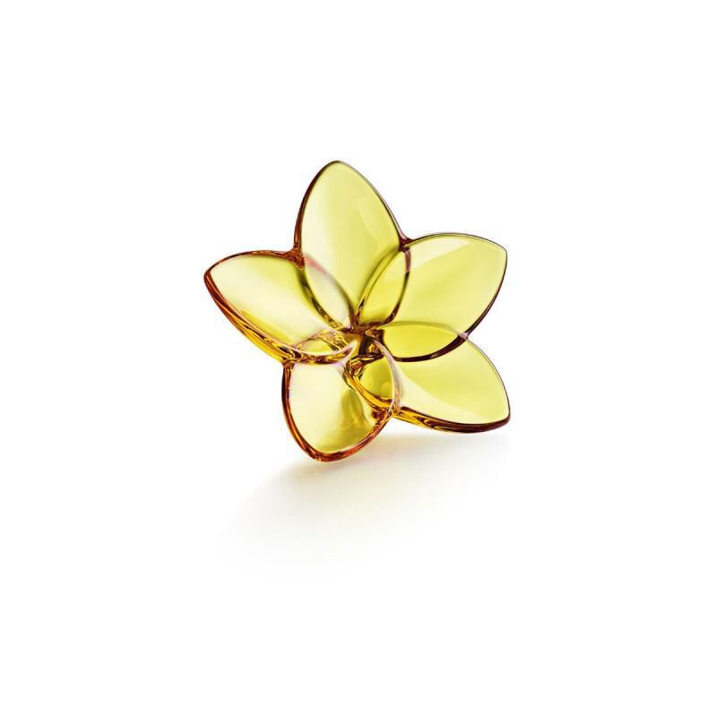 The Bloom Collection The Bloom Collection, large