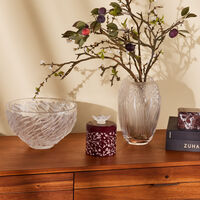 Fourrure Centerpiece Clear lalique fourrure centerpiece clear