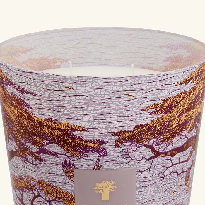 baobab collection sacred trees massasso candle max 35