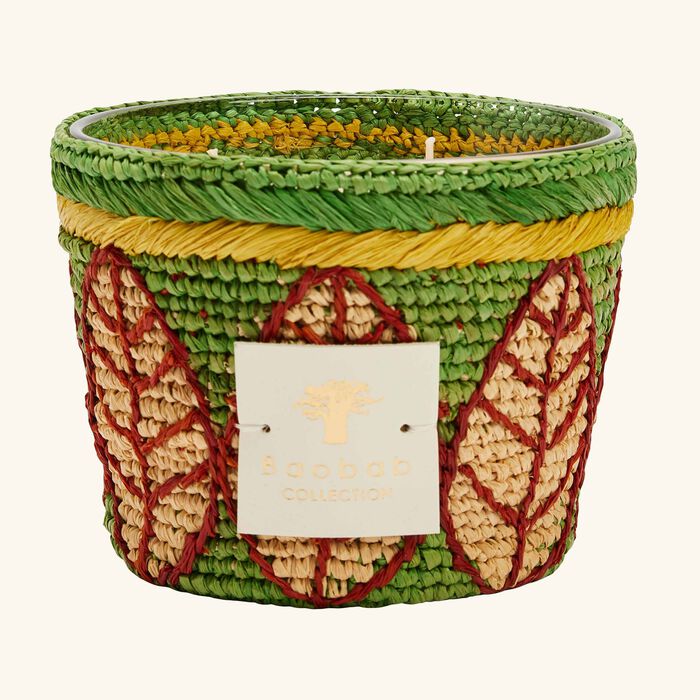 baobab collection ravintsara ravina candle max 10