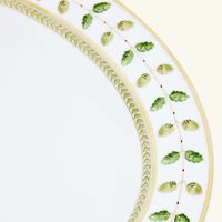 bernardaud constance platter oval green 33cm