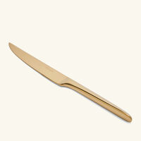 l  ame de christofle steak knife gold