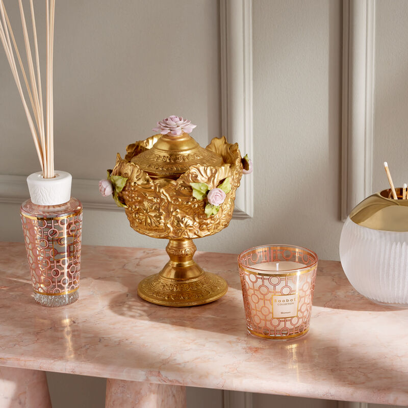 baobab collection my first baobab women gift box