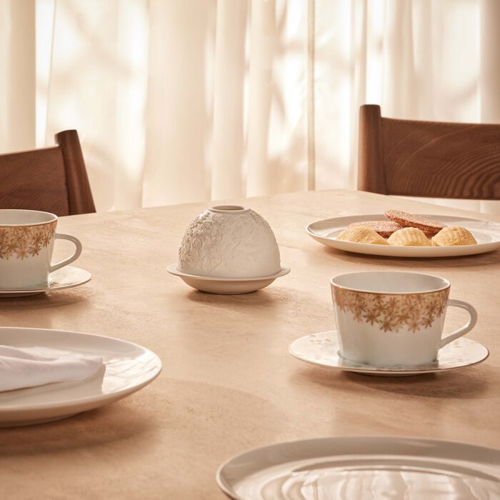 bernardaud grapes lithophanie