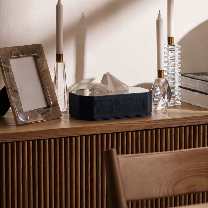 dimlaj hayat tissue box blue