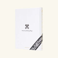 assouline londolozi the safari that changed everything book 30x24cm