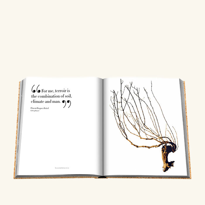 assouline the impossible collection of champagne book 50x45cm